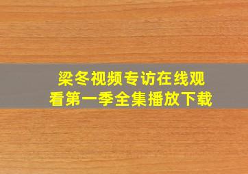 梁冬视频专访在线观看第一季全集播放下载