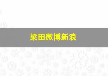 梁田微博新浪