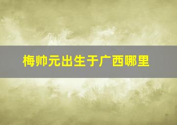 梅帅元出生于广西哪里