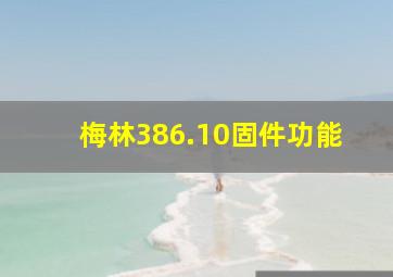 梅林386.10固件功能