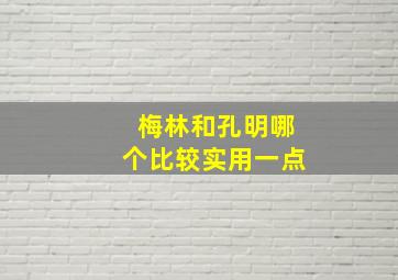 梅林和孔明哪个比较实用一点