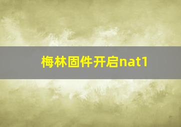 梅林固件开启nat1