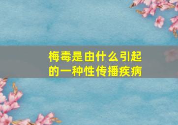 梅毒是由什么引起的一种性传播疾病