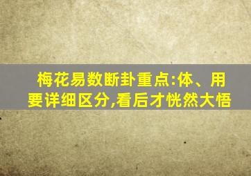 梅花易数断卦重点:体、用要详细区分,看后才恍然大悟