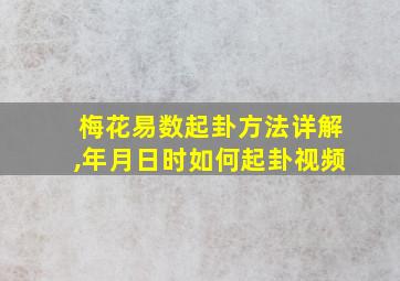 梅花易数起卦方法详解,年月日时如何起卦视频