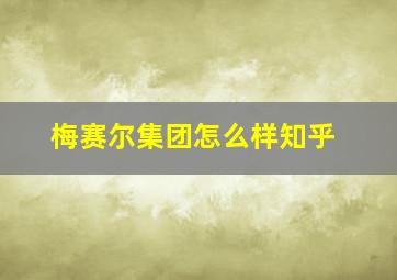 梅赛尔集团怎么样知乎