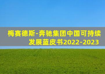 梅赛德斯-奔驰集团中国可持续发展蓝皮书2022-2023