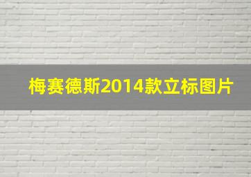 梅赛德斯2014款立标图片