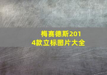 梅赛德斯2014款立标图片大全