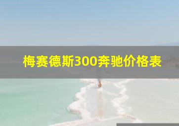 梅赛德斯300奔驰价格表