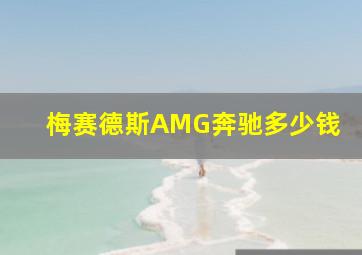 梅赛德斯AMG奔驰多少钱