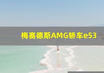 梅赛德斯AMG轿车e53