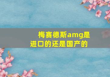 梅赛德斯amg是进口的还是国产的