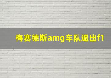 梅赛德斯amg车队退出f1