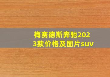 梅赛德斯奔驰2023款价格及图片suv