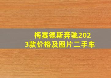 梅赛德斯奔驰2023款价格及图片二手车