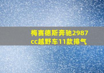 梅赛德斯奔驰2987cc越野车11款排气