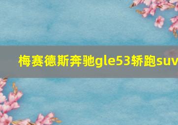 梅赛德斯奔驰gle53轿跑suv