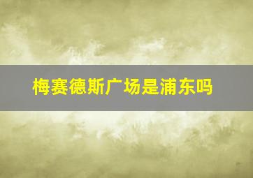 梅赛德斯广场是浦东吗