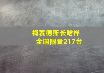 梅赛德斯长啥样全国限量217台