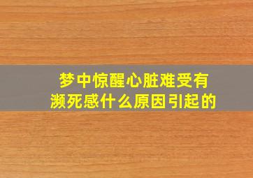 梦中惊醒心脏难受有濒死感什么原因引起的