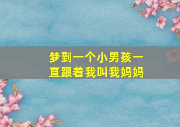 梦到一个小男孩一直跟着我叫我妈妈