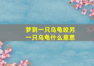 梦到一只乌龟咬另一只乌龟什么意思