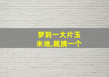 梦到一大片玉米地,就摘一个