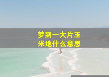 梦到一大片玉米地什么意思