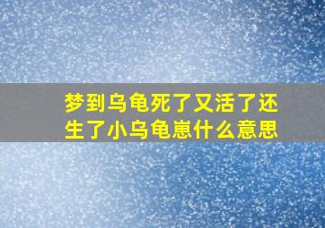 梦到乌龟死了又活了还生了小乌龟崽什么意思