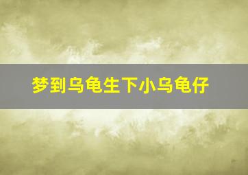 梦到乌龟生下小乌龟仔