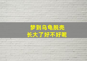 梦到乌龟脱壳长大了好不好呢