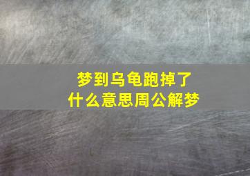 梦到乌龟跑掉了什么意思周公解梦