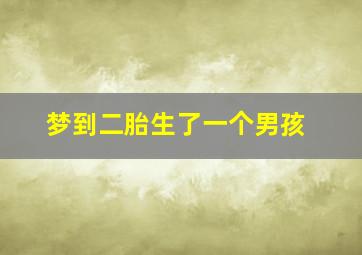 梦到二胎生了一个男孩