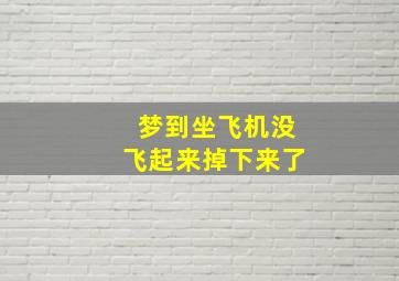 梦到坐飞机没飞起来掉下来了