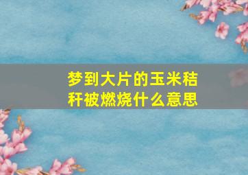 梦到大片的玉米秸秆被燃烧什么意思