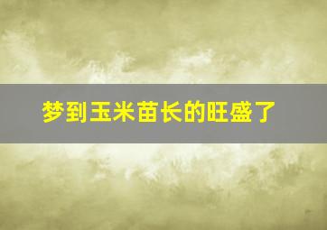 梦到玉米苗长的旺盛了