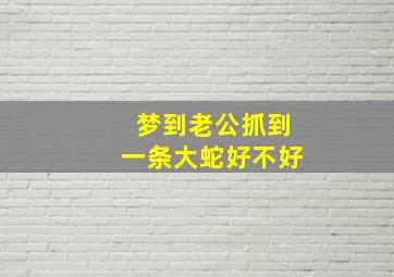 梦到老公抓到一条大蛇好不好