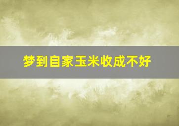 梦到自家玉米收成不好