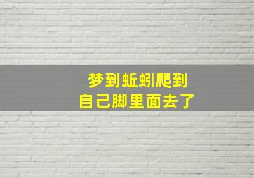 梦到蚯蚓爬到自己脚里面去了