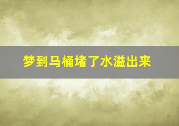 梦到马桶堵了水溢出来