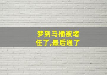 梦到马桶被堵住了,最后通了