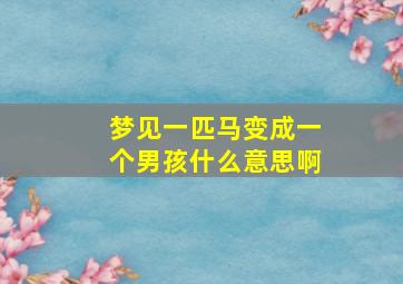 梦见一匹马变成一个男孩什么意思啊