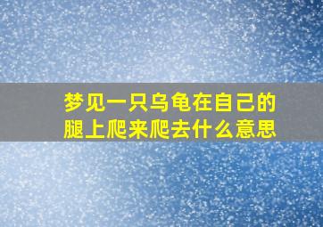 梦见一只乌龟在自己的腿上爬来爬去什么意思