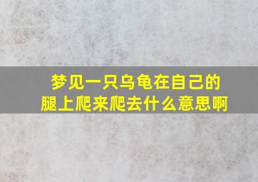 梦见一只乌龟在自己的腿上爬来爬去什么意思啊