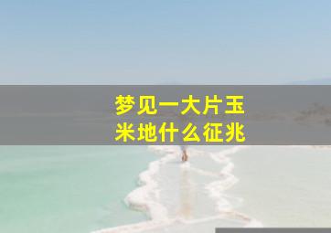 梦见一大片玉米地什么征兆