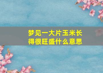 梦见一大片玉米长得很旺盛什么意思