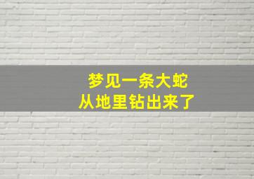 梦见一条大蛇从地里钻出来了