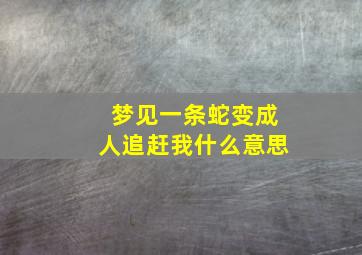 梦见一条蛇变成人追赶我什么意思