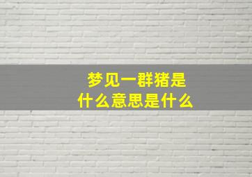 梦见一群猪是什么意思是什么